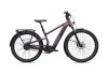 Specialized Turbo Vado 3 4.0 IGH GLOSS NEBULA METALLIC / SILVER DUST XL
