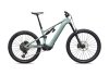 Specialized Turbo Levo 4 EVO Comp SATIN AGAVE GREY / DESERT METALLIC S2