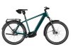 Riese & Müller Charger5 Pinion Pine