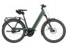 Riese & Müller Nevo5 Rohloff Moss