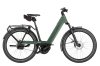 Riese & Müller Nevo5 Automatic Moss