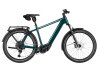 Riese & Müller Charger5 Touring Pine