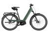 Riese & Müller Nevo5 Pinion Moss